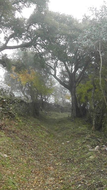 Los Montes Guest House Casas de Miravete Bagian luar foto